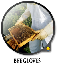 Bee Gloves