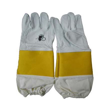  Gloves